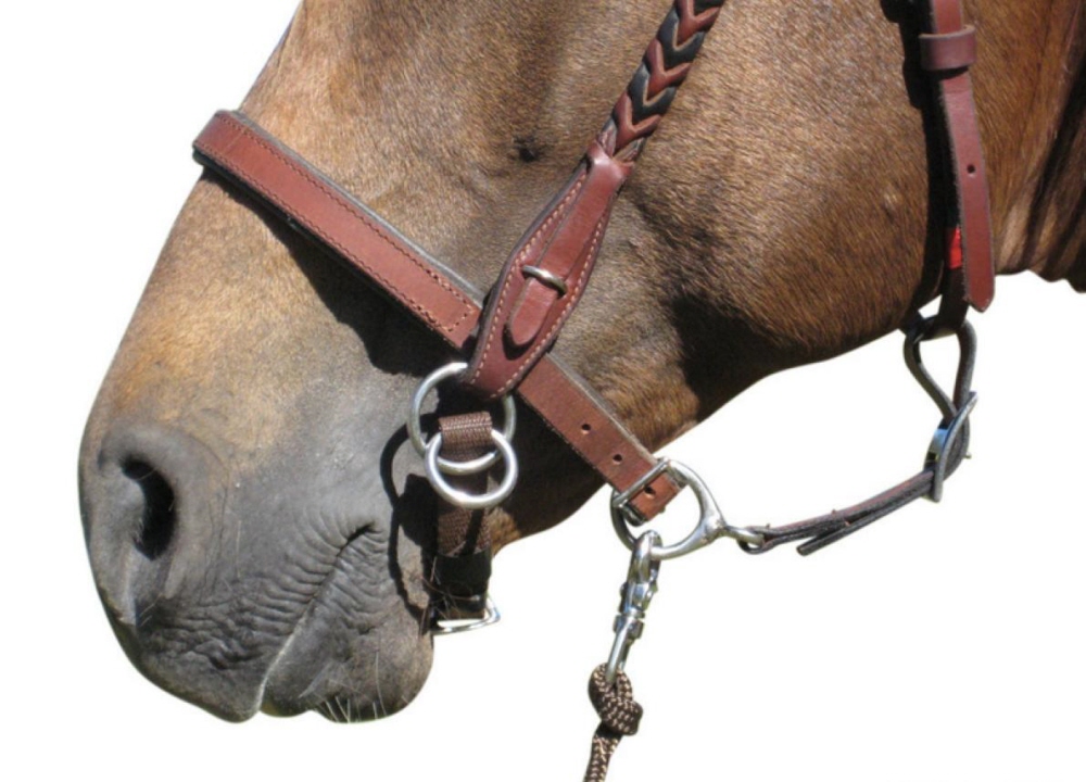 EquiGear New Zealand LightRider Bitless Bridles Equestrian Gear