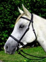 LightRider English Style Bitless Bridle - Beta Biothane