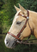 LightRider Western Scalloped Bridle at EquiGear